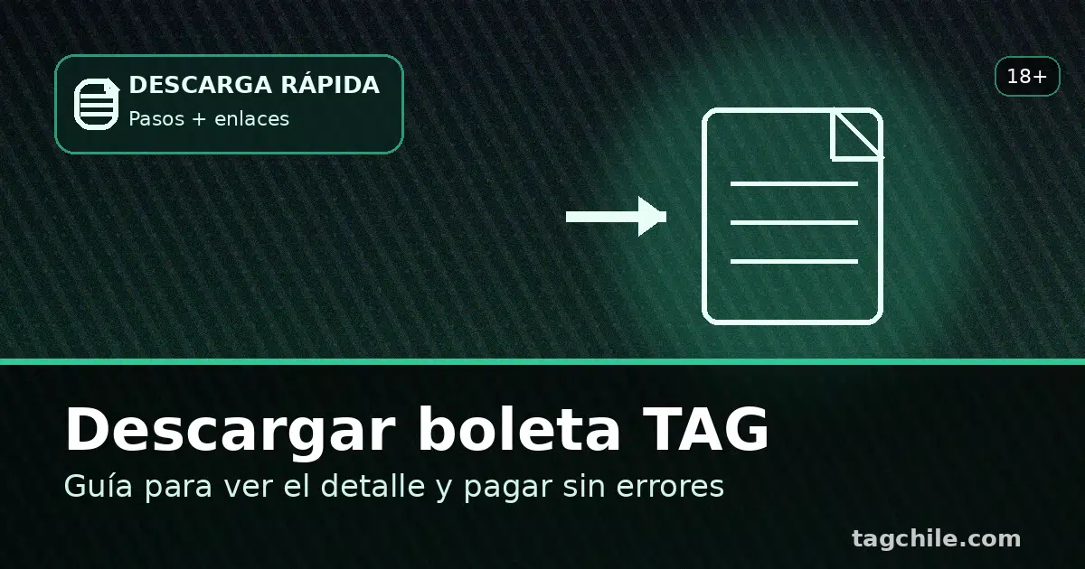 Descargar boleta TAG online y comprobar el detalle antes de pagar