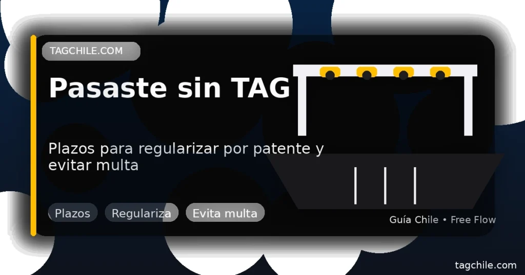 Pasaste sin TAG: plazos para regularizar por patente y evitar multa