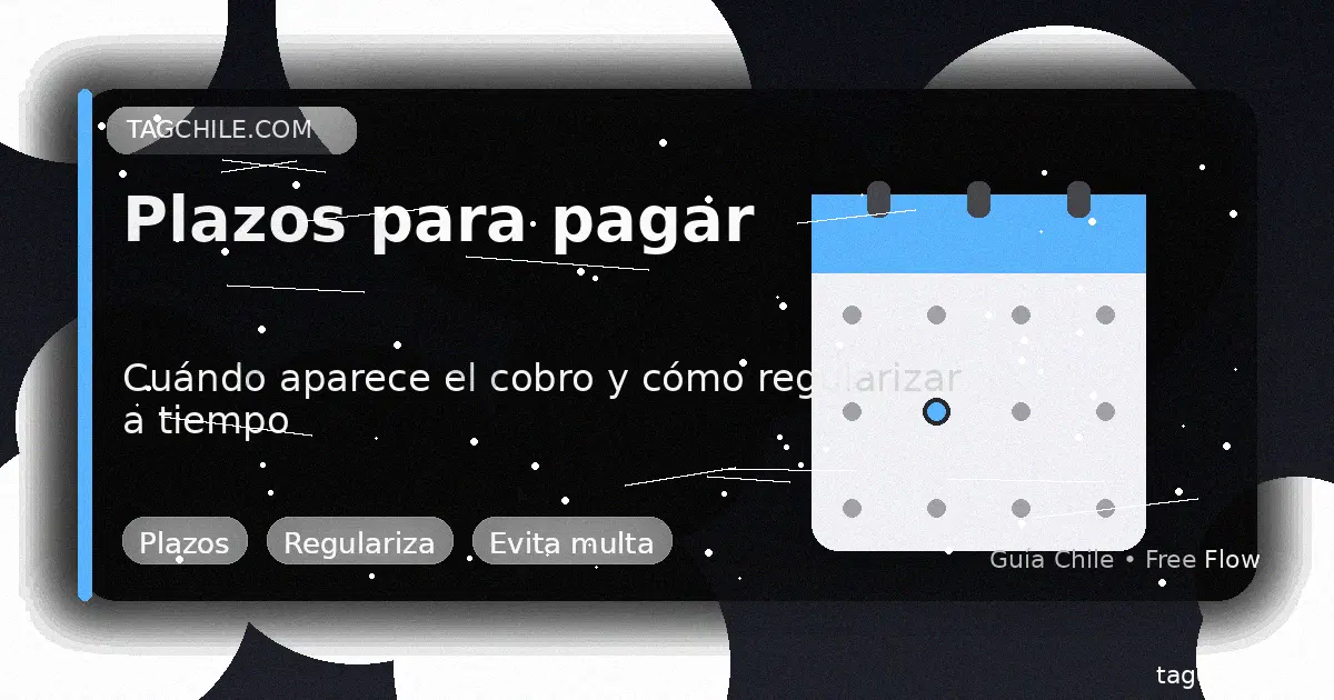 Pasaste sin TAG: plazos para regularizar por patente y evitar multa