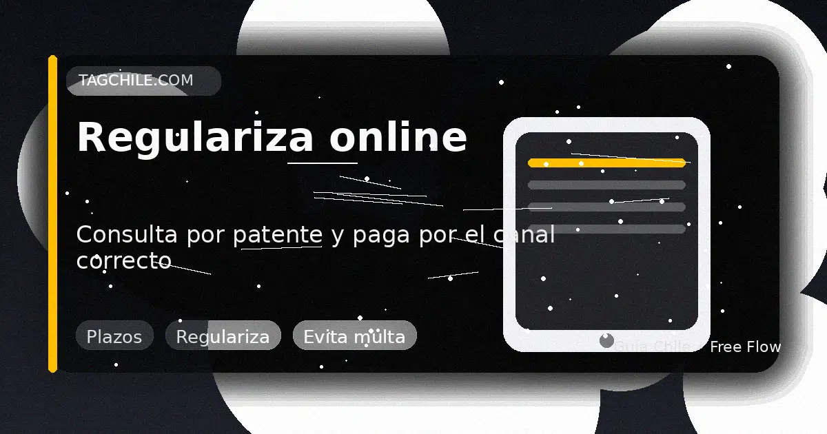 Regulariza online: consulta por patente y paga tránsito sin TAG